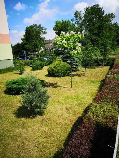 Wycinka drzew tradycyjna alpinistyczna i tradycyjna, Housegarden